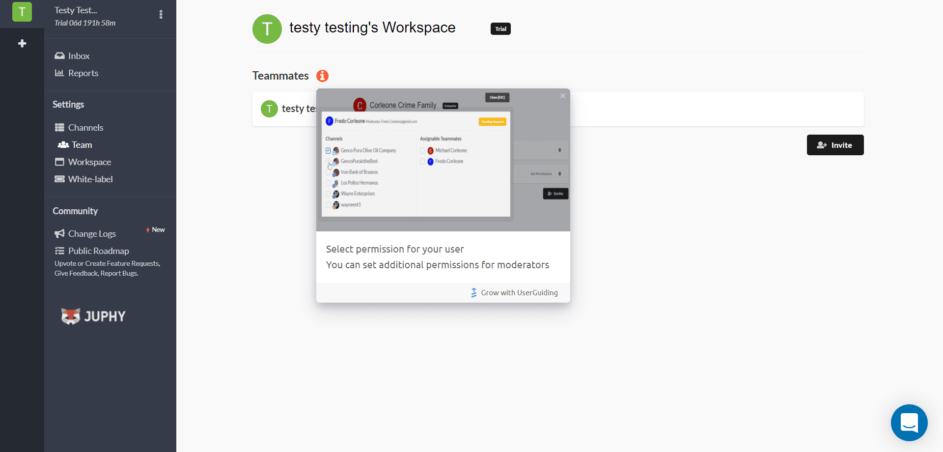 Juphy team page with a modal showing how to set permissions for a teammate