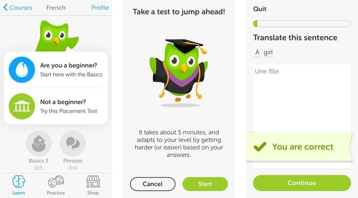 Three Duolingo screens: a choice between starting with the Basics or a placement test, the test introduction, and a translated sentence marked correct